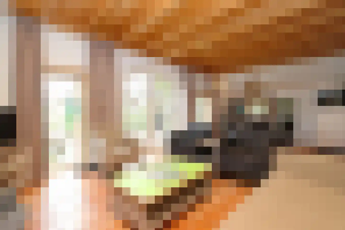 Tunnelweg 7 181 Haarle thumbnail 5