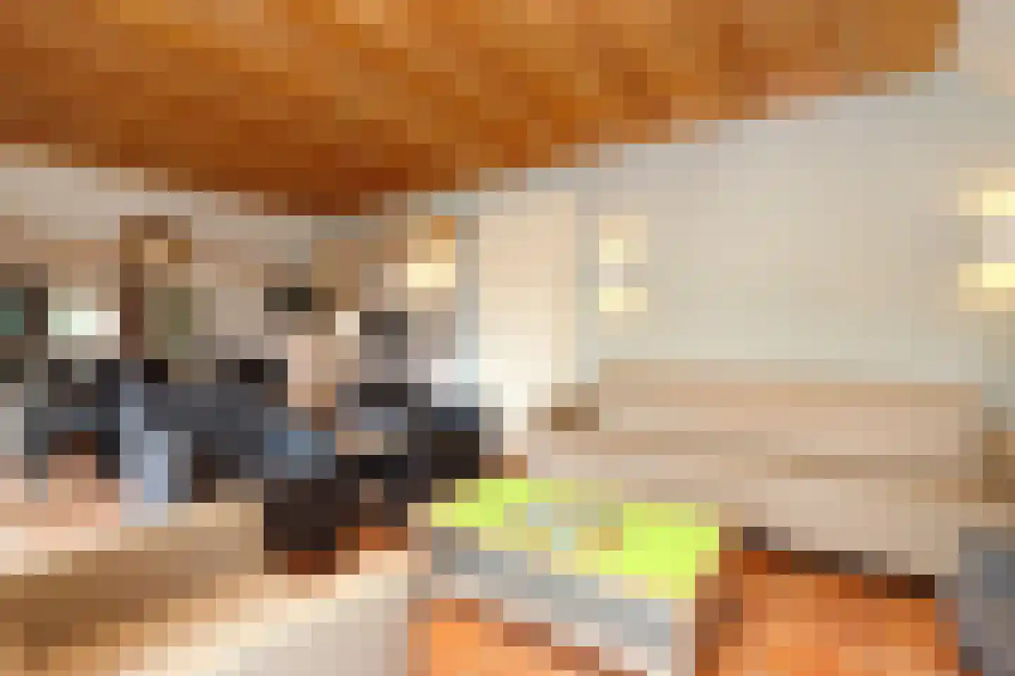 Tunnelweg 7 181 Haarle thumbnail 6