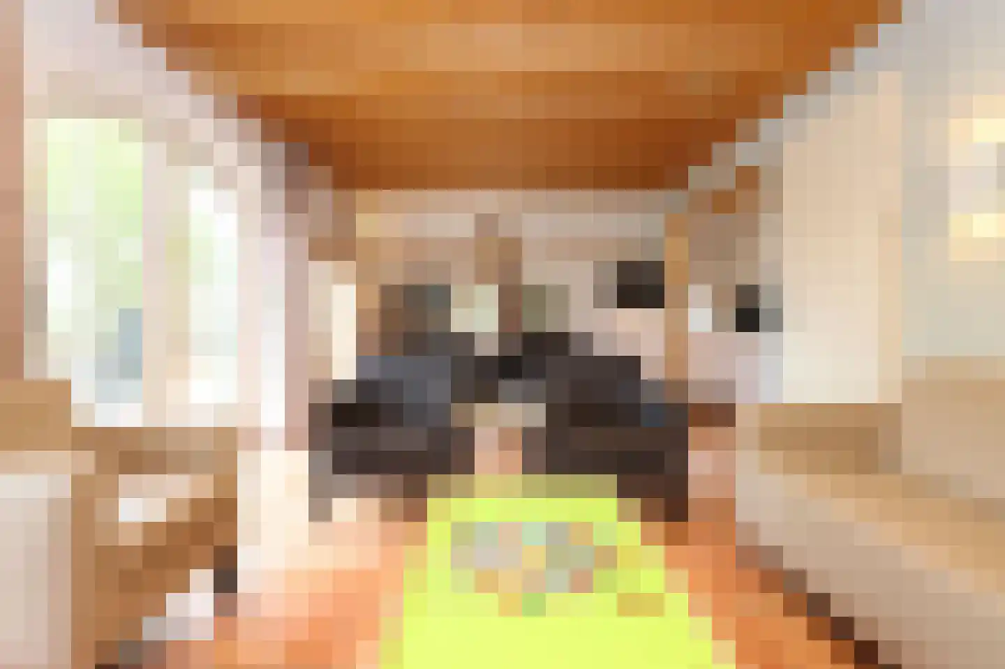 Tunnelweg 7 181 Haarle thumbnail 7