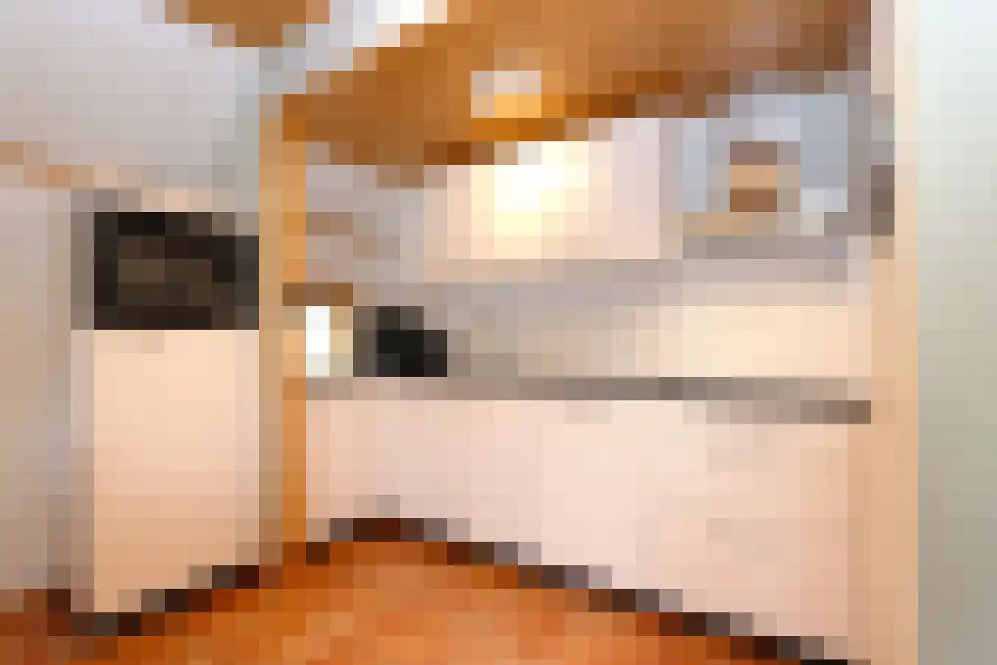 Tunnelweg 7 181 Haarle thumbnail 9