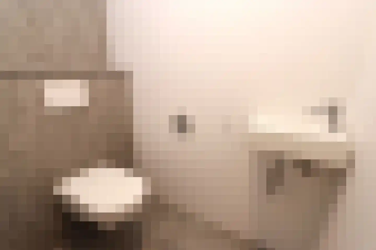 Tunnelweg 7 78 Haarle thumbnail 11