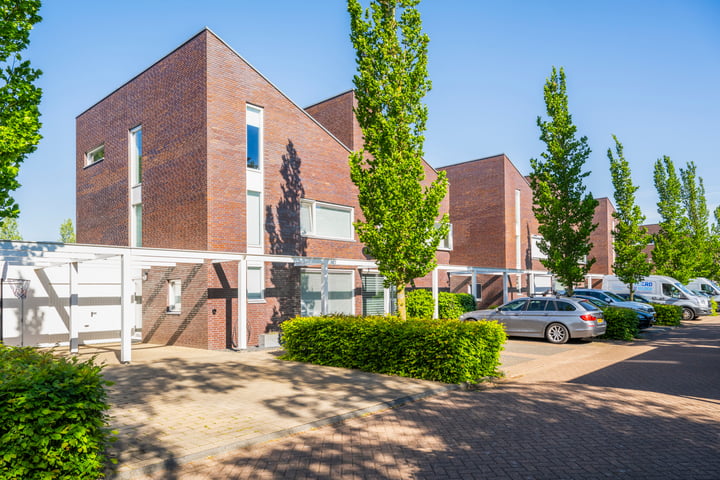 Tureluur 10 in Waspik foto