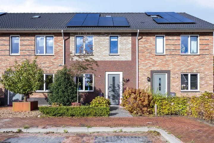 Tureluur 10 in Zevenhuizen foto