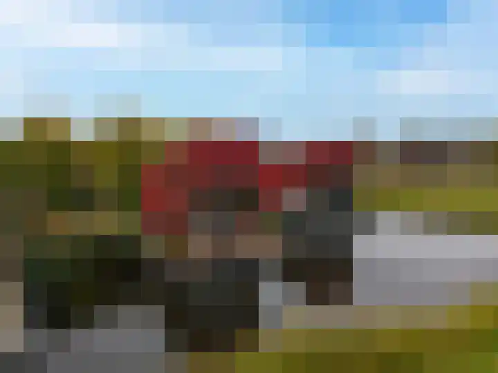 Tureluur 15 en Waspik