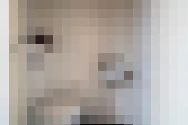 Tureluur 15 Waspik thumbnail 18