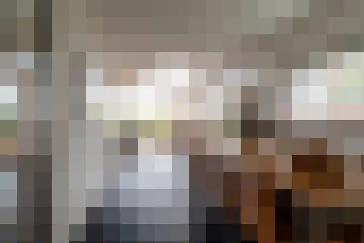 Tureluur 15 Waspik thumbnail 24