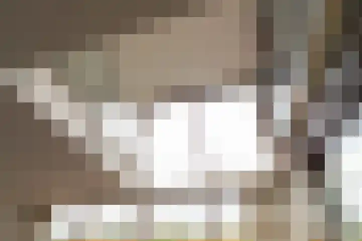 Tureluur 15 Waspik thumbnail 28