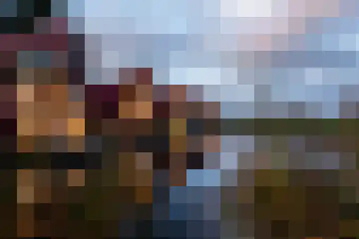 Tureluur 15 Waspik foto 3