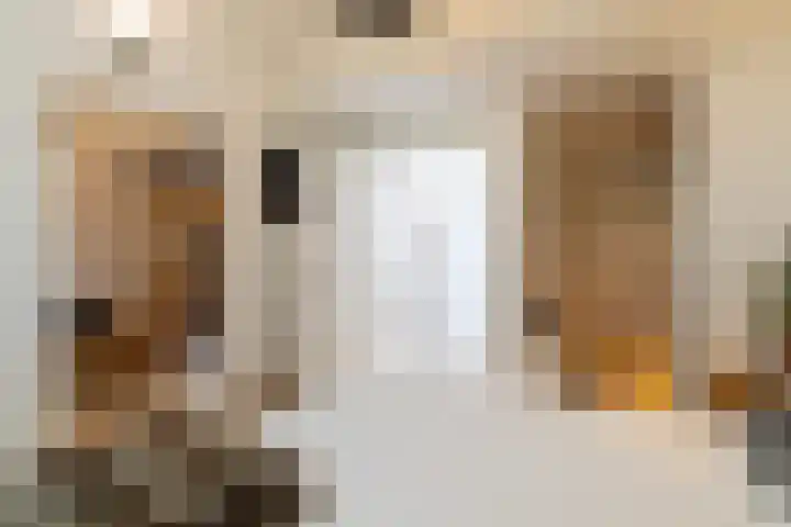 Tureluur 15 Waspik thumbnail 34