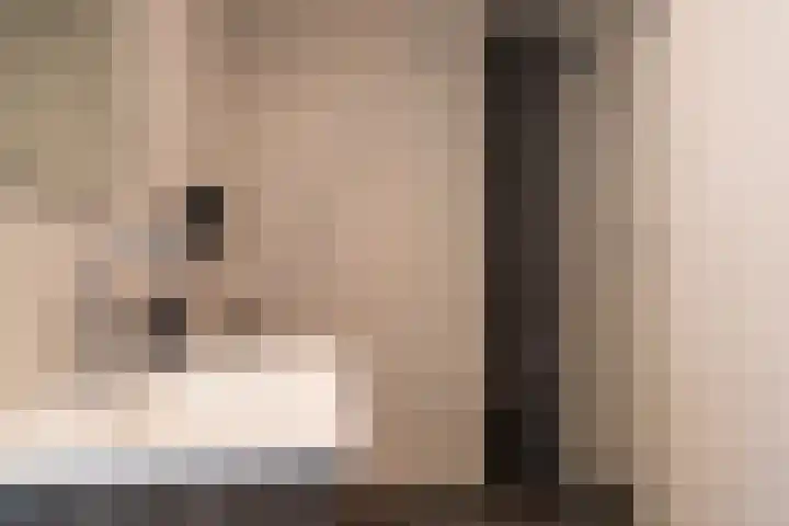 Tureluur 15 Waspik thumbnail 42