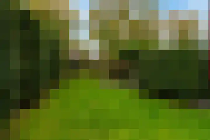 Tureluur 15 Waspik thumbnail 7
