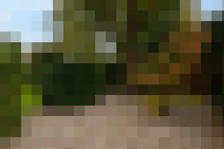 Tureluur 15 Waspik thumbnail 8
