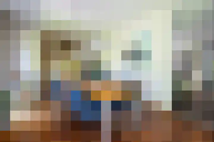 Tureluur 2 Sommelsdijk thumbnail 13