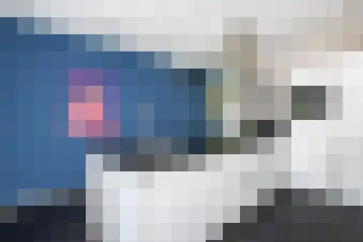 Tureluur 2 Sommelsdijk thumbnail 15