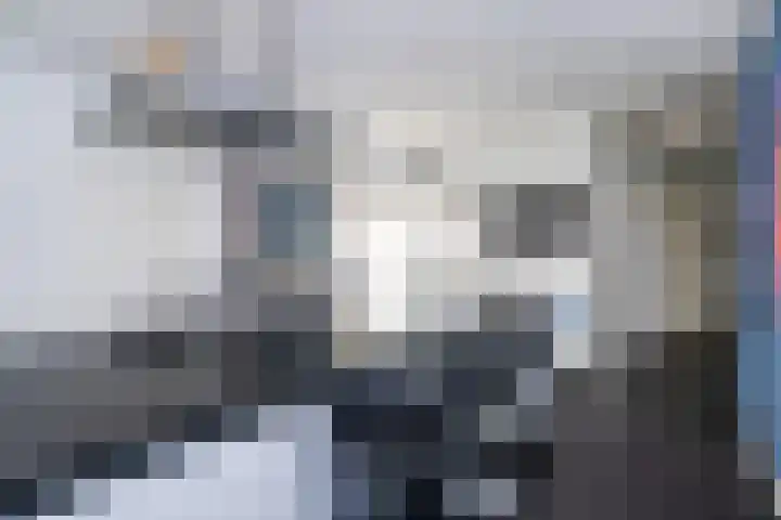 Tureluur 2 Sommelsdijk thumbnail 16