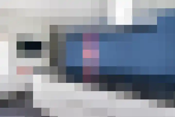 Tureluur 2 Sommelsdijk thumbnail 17