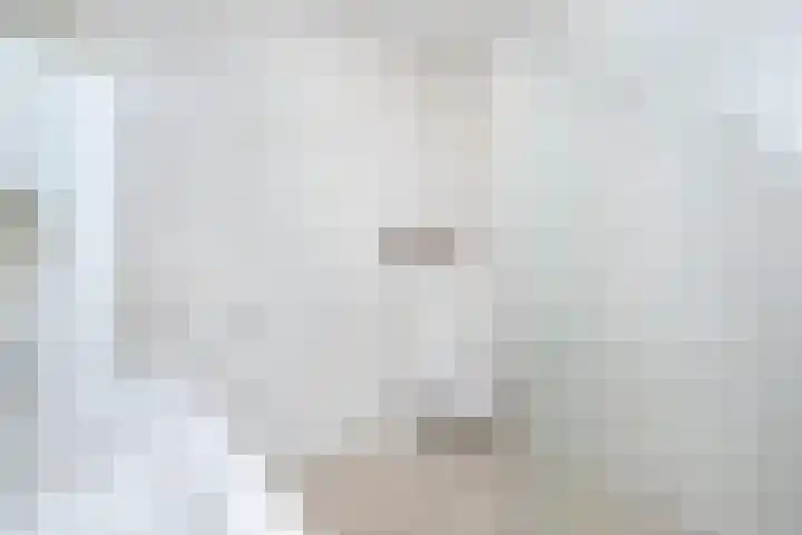 Tureluur 2 Sommelsdijk thumbnail 22