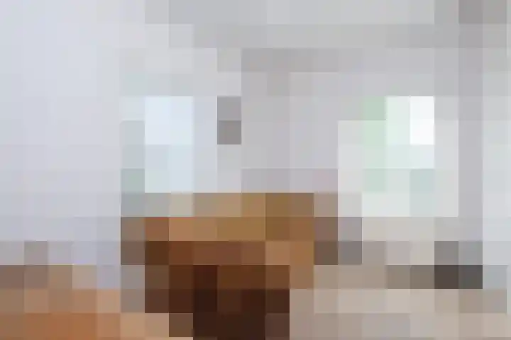 Tureluur 2 Sommelsdijk thumbnail 24