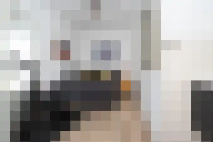Tureluur 2 Sommelsdijk thumbnail 25