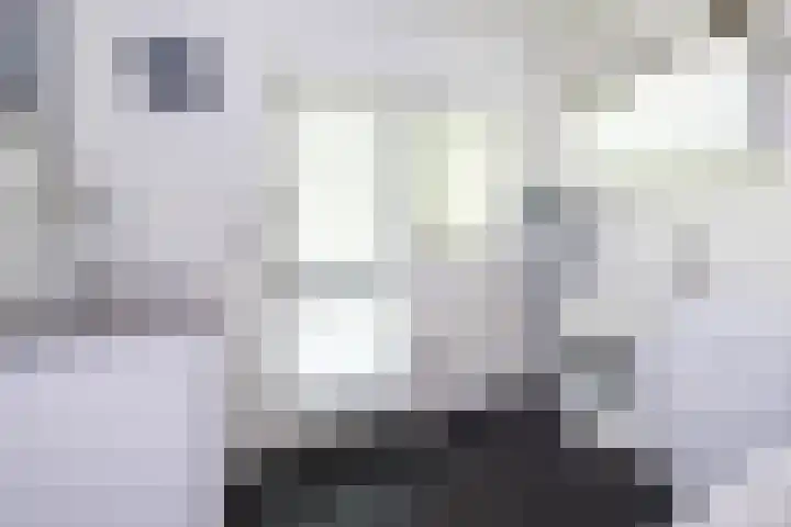 Tureluur 2 Sommelsdijk thumbnail 28