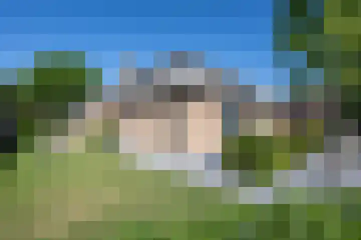 Tureluur 2 Sommelsdijk thumbnail 33