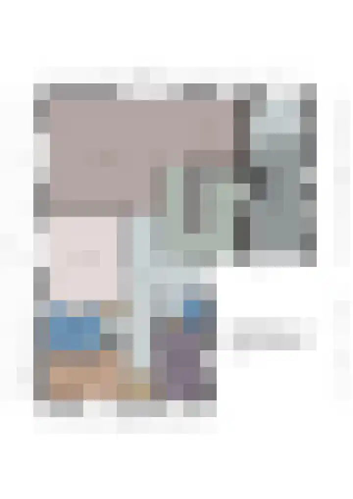 Tureluur 2 Sommelsdijk thumbnail 39