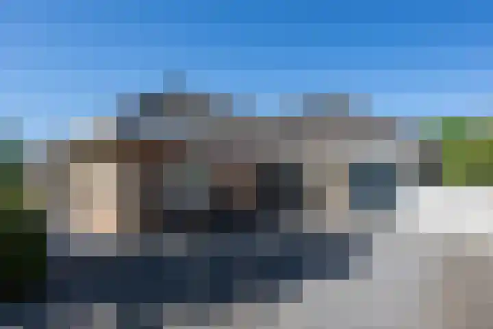 Tureluur 2 Sommelsdijk thumbnail 40