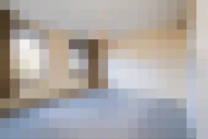 Tureluur 5 Sommelsdijk thumbnail 12
