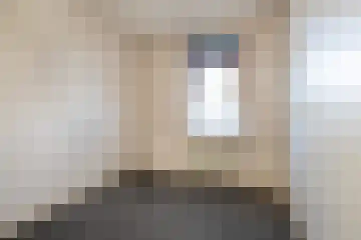 Tureluur 5 Sommelsdijk thumbnail 13