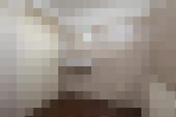 Tureluur 5 Sommelsdijk thumbnail 14