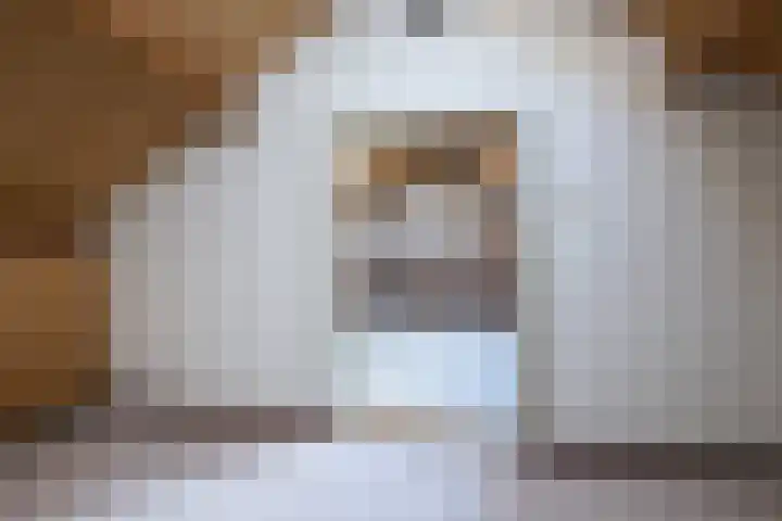Tureluur 5 Sommelsdijk thumbnail 16