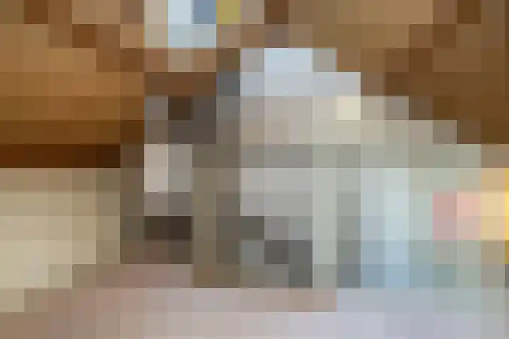 Tureluur 5 Sommelsdijk thumbnail 17