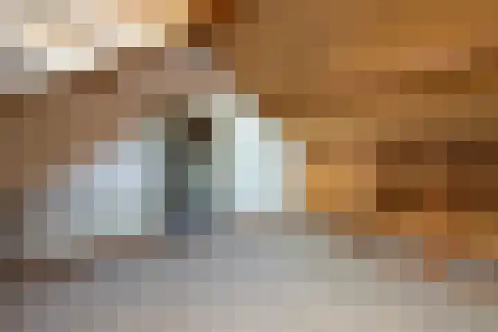 Tureluur 5 Sommelsdijk thumbnail 19