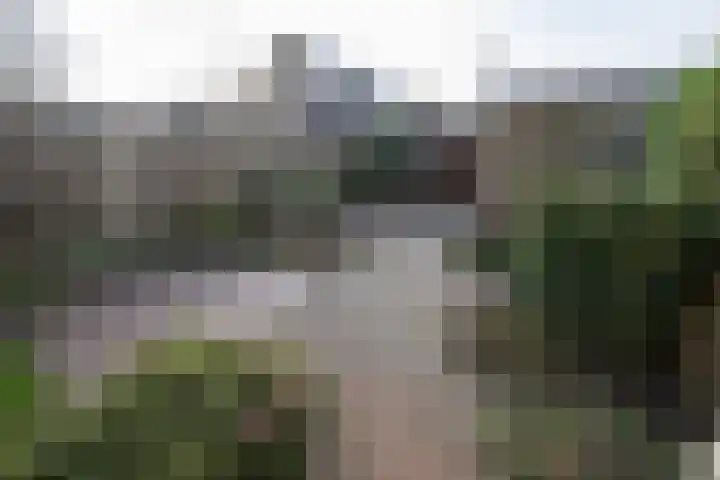 Tureluur 5 Sommelsdijk thumbnail 20