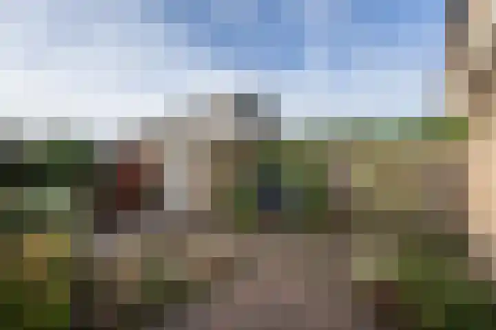 Tureluur 5 Sommelsdijk thumbnail 21