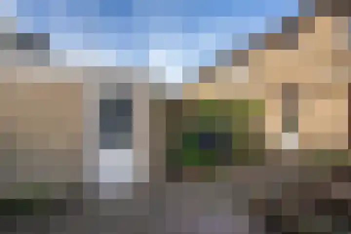 Tureluur 5 Sommelsdijk thumbnail 22