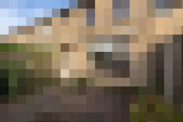 Tureluur 5 Sommelsdijk thumbnail 23