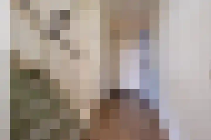 Tureluur 5 Sommelsdijk thumbnail 4