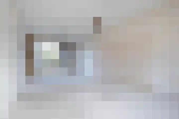 Tureluur 5 Sommelsdijk thumbnail 7