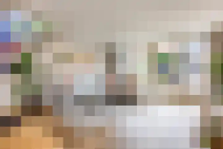 Tureluur 5 Velserbroek thumbnail 11