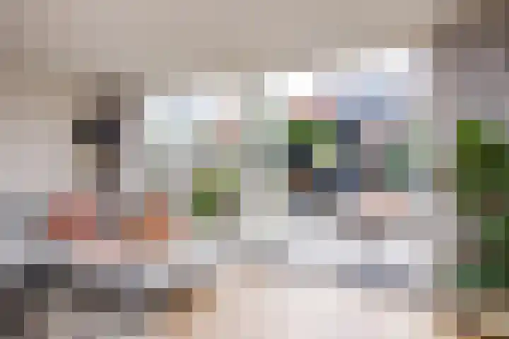 Tureluur 5 Velserbroek thumbnail 13