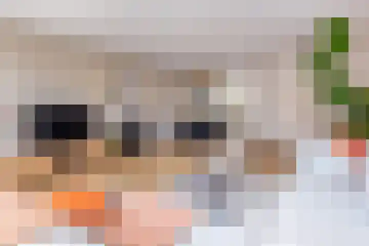 Tureluur 5 Velserbroek thumbnail 15
