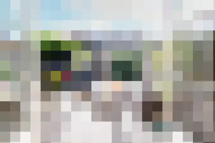 Tureluur 5 Velserbroek thumbnail 19