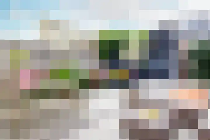 Tureluur 5 Velserbroek thumbnail 20