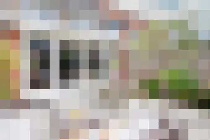 Tureluur 5 Velserbroek thumbnail 23