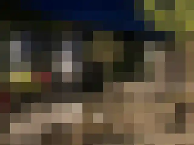 Tureluur 5 Velserbroek thumbnail 26