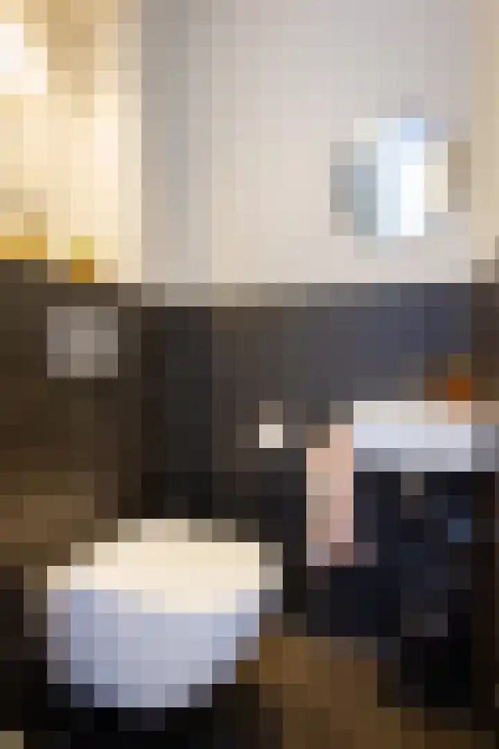 Tureluur 5 Velserbroek thumbnail 27