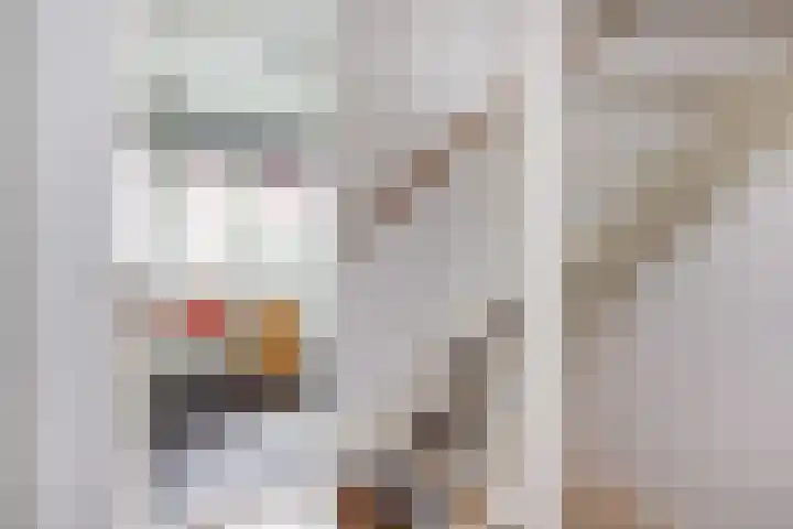 Tureluur 5 Velserbroek thumbnail 28