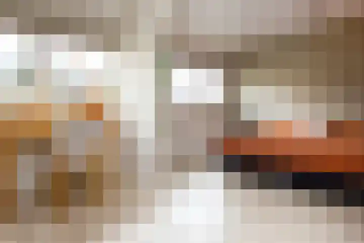 Tureluur 5 Velserbroek thumbnail 40