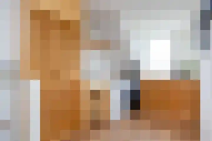 Tureluur 5 Velserbroek thumbnail 42